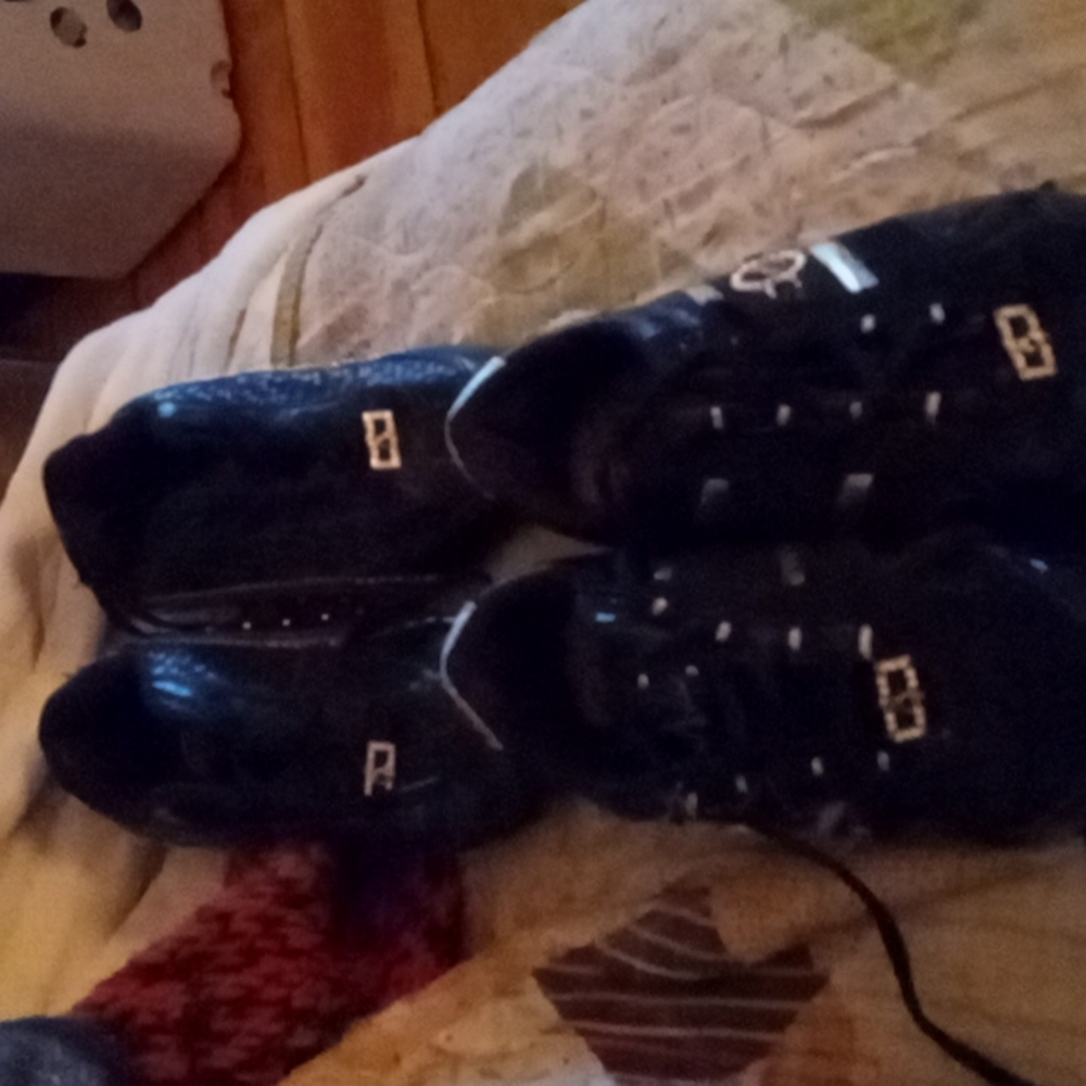 Baby phat shoes